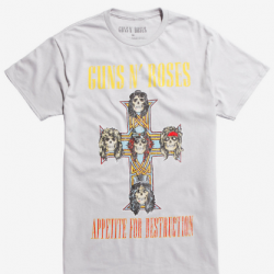 appetite for destruction album cover
